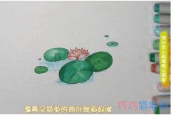 教你怎么画荷叶荷花简笔画教程涂色