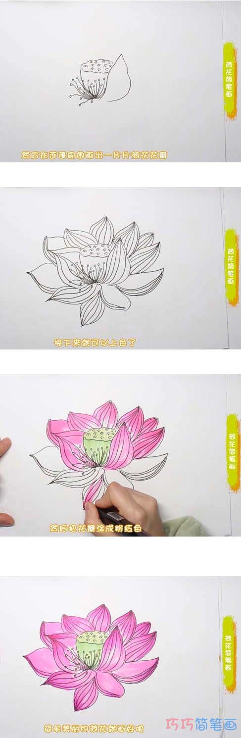 教你怎么画荷花简笔画步骤教程涂颜色