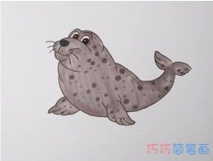 教你怎么画海豹简笔画步骤教程涂颜色