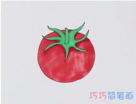 教你怎么画西红柿简笔画步骤教程涂颜色