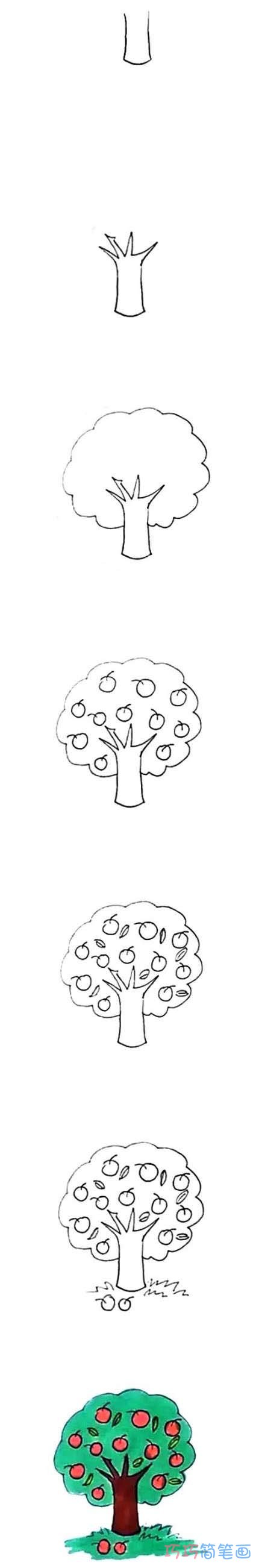 教你怎么画苹果树简笔画步骤教程涂色