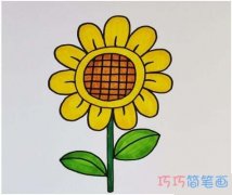教你怎么画向日葵简笔画步骤教程涂颜色