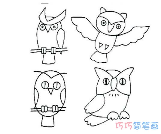教你怎么画猫头鹰简笔画教程简单可爱