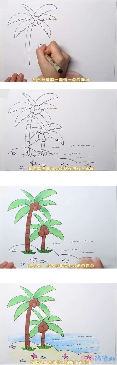怎么画海边椰子树简笔画画法步骤教程