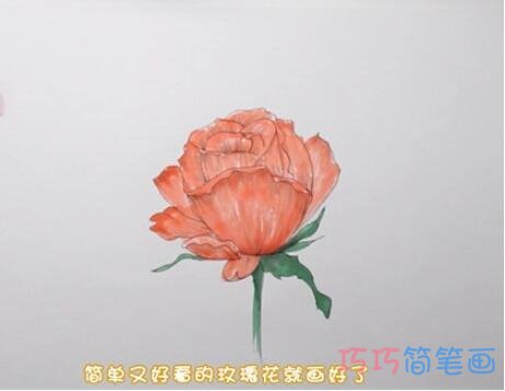 手绘玫瑰花的画法步骤教程涂色简单漂亮