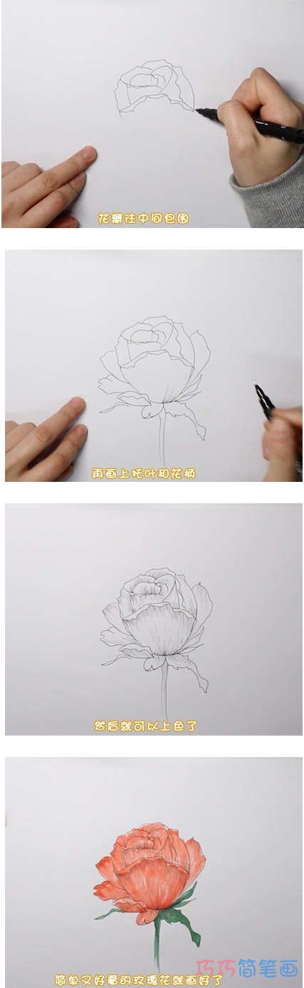 手绘玫瑰花的画法步骤教程涂色简单漂亮
