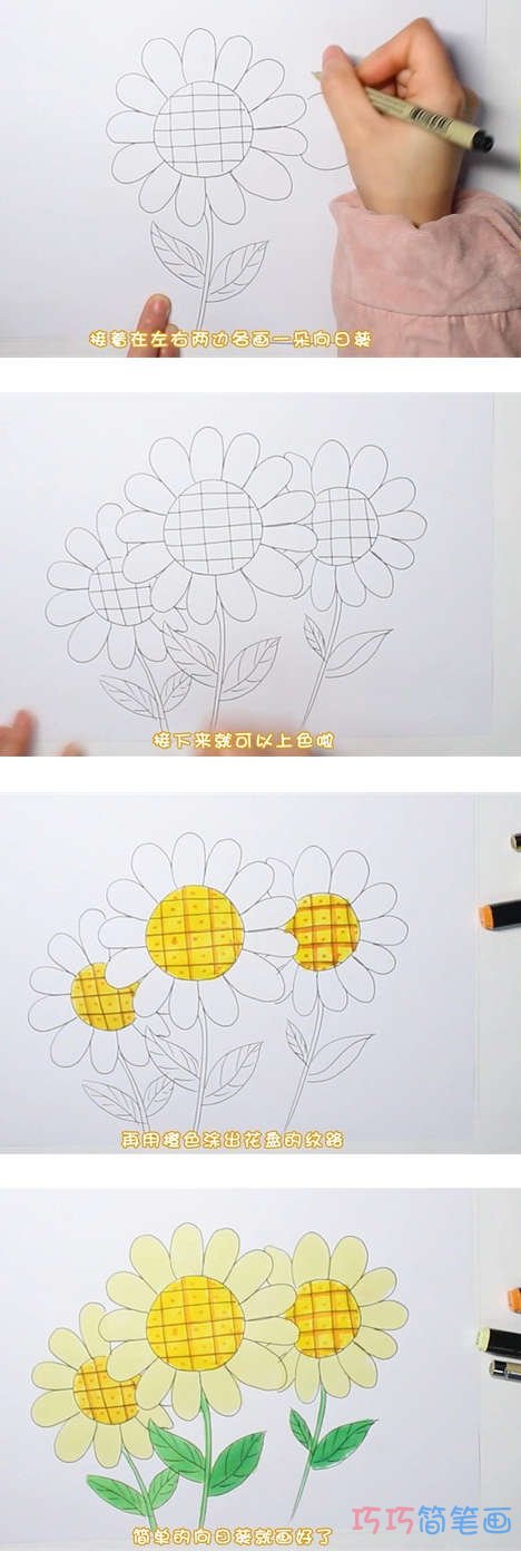 手绘向日葵的画法步骤教程涂色简单漂亮
