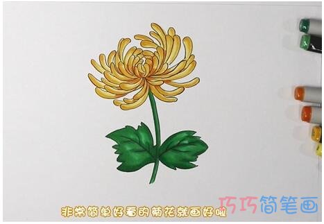 怎么手绘菊花简笔画步骤教程涂色漂亮