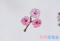 手绘樱花简笔画怎么画涂色简单漂亮