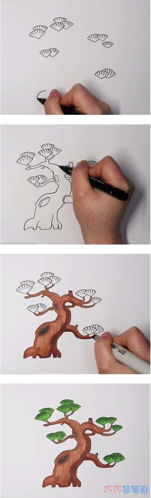 怎么手绘松树简笔画步骤教程涂色简单好看