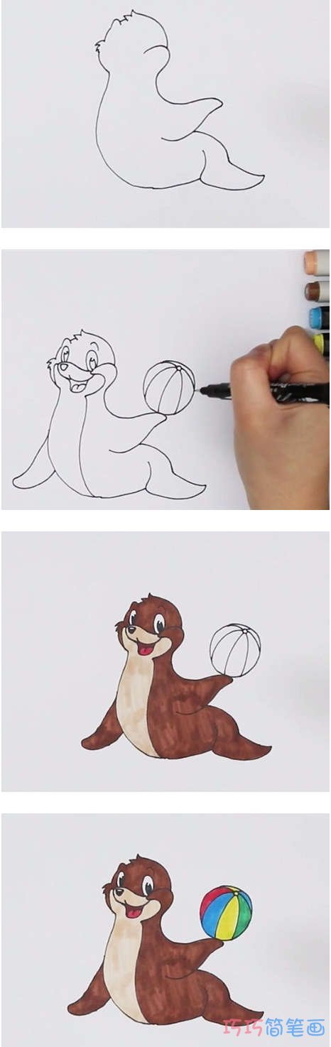 怎么画海狮顶球简笔画教程涂色简单