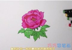 怎么手绘牡丹花简笔画步骤教程涂色简单