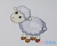 如何画可爱小绵羊简笔画步骤教程涂色简单