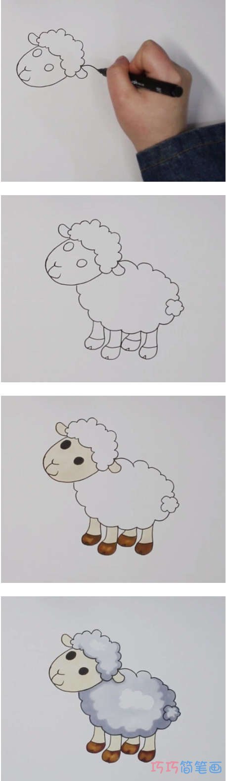 如何画可爱小绵羊简笔画步骤教程涂色简单