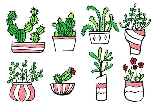 一盆一盆的盆栽植物简笔画怎么画画法步骤教程涂颜色