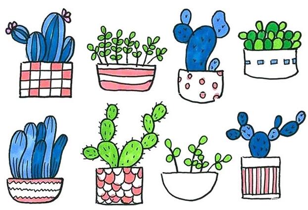 仙人掌小花盆栽植物简笔画图片简单好看