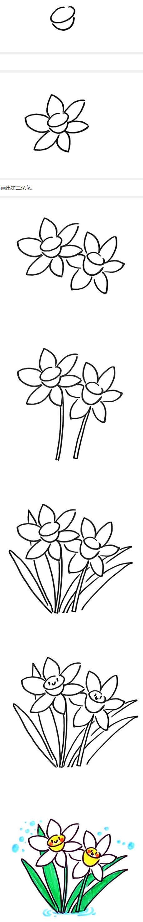 怎么画漂亮水仙花简笔画画法步骤教程简单好看
