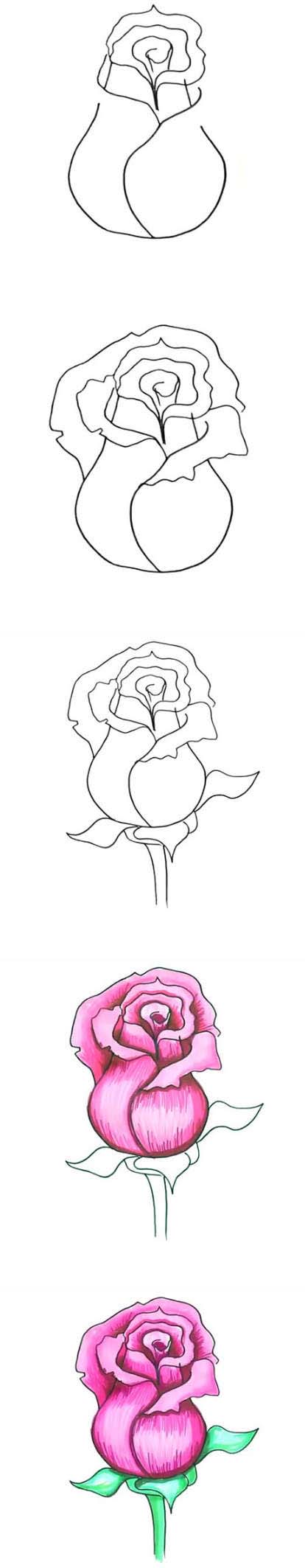 情人节母亲节大红色玫瑰花的简笔画画法步骤教程简单好看
