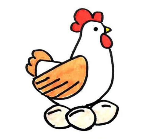 教你画母鸡下蛋简笔画画法步骤教程简单好看 母鸡的简笔画图片