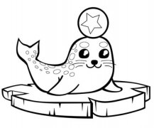 可爱海狮顶球表演简笔画怎么画简单好看