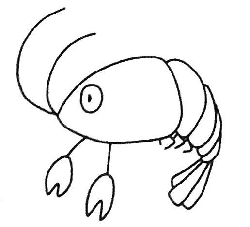 卡通虾简笔画图片 明虾的画法步骤图解教程