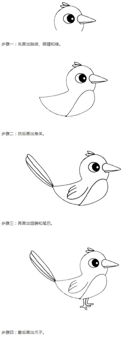 喜鹊的画法步骤教程简单 喜鹊简笔画图片
