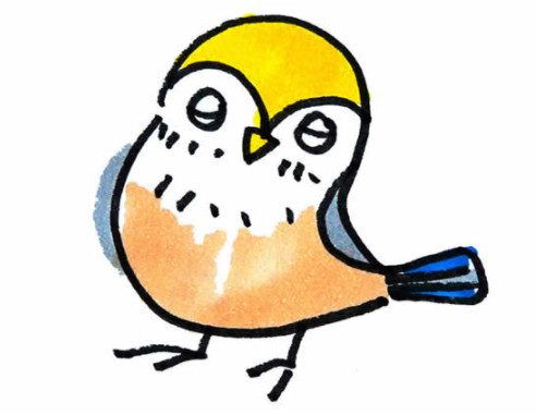 简单小鸟的画法步骤涂色 小鸟简笔画图片