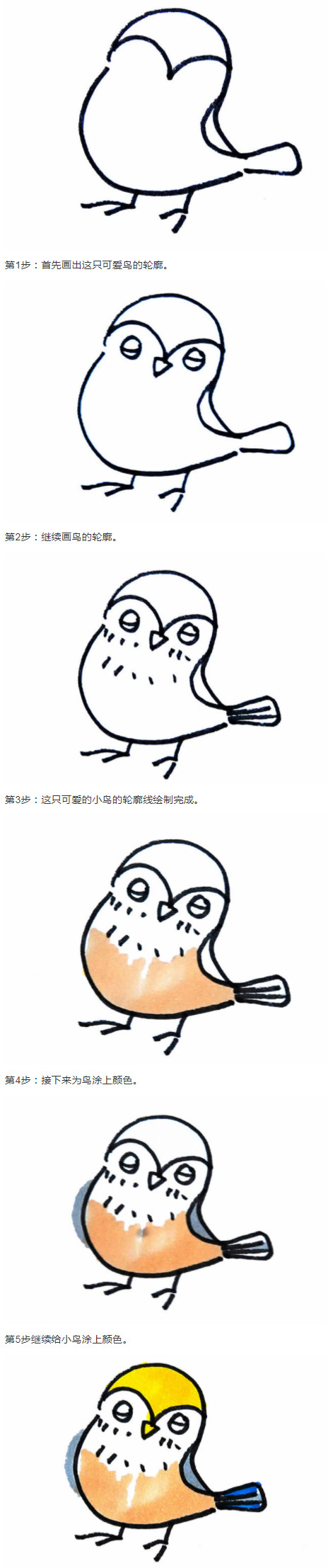 简单小鸟的画法步骤涂色 小鸟简笔画图片