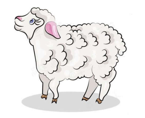 小绵羊的画法涂颜色 绵羊简笔画图片