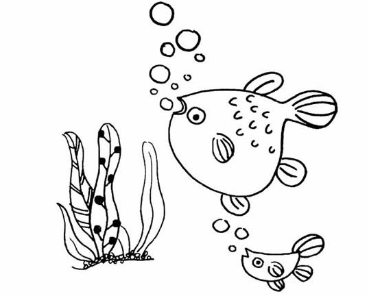 金鱼怎么画简单又漂亮 金鱼简笔画图片
