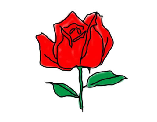 玫瑰花的画法步骤图简单又漂亮