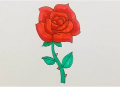 玫瑰花怎么画简单又漂亮带步骤图