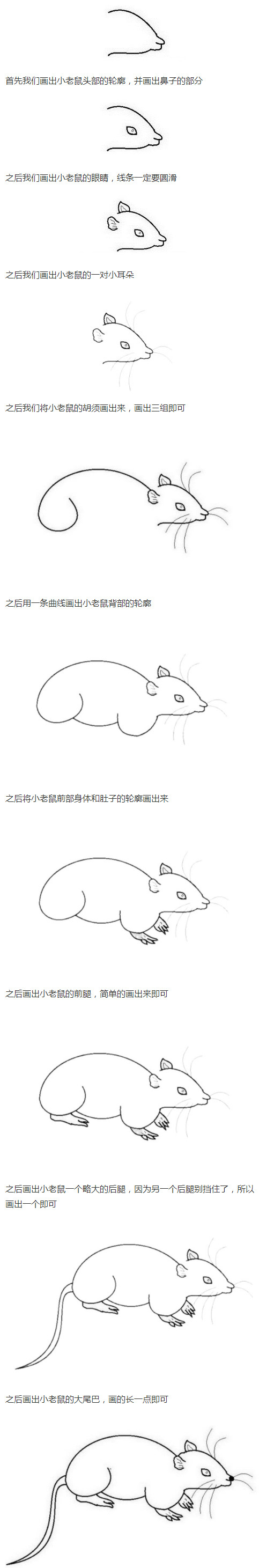 小老鼠的画法步骤图简单又好看
