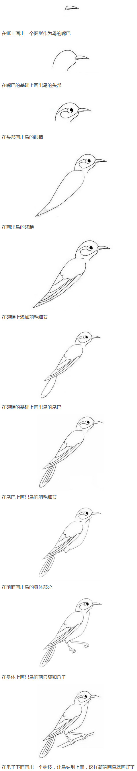 小鸟怎么画带步骤图简单又好看