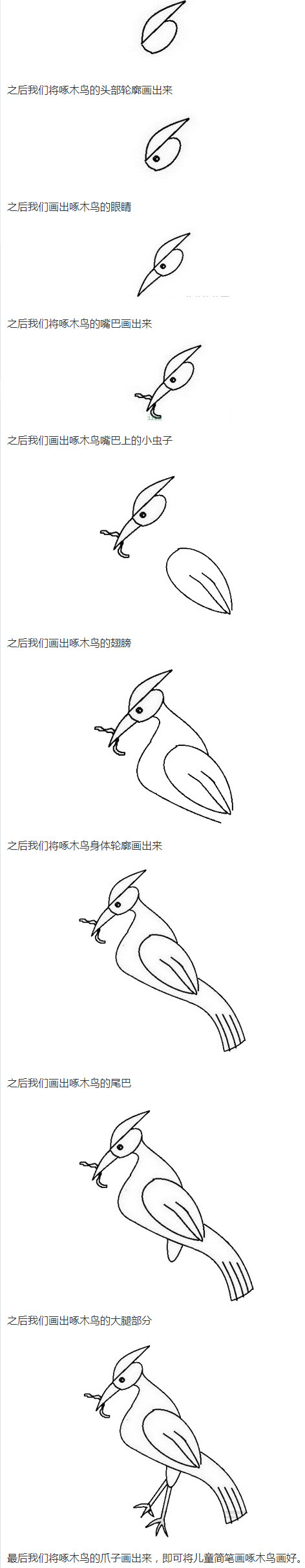 啄木鸟怎么画带步骤简单又好看