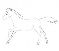 一匹马怎么画带步骤图简单又漂亮