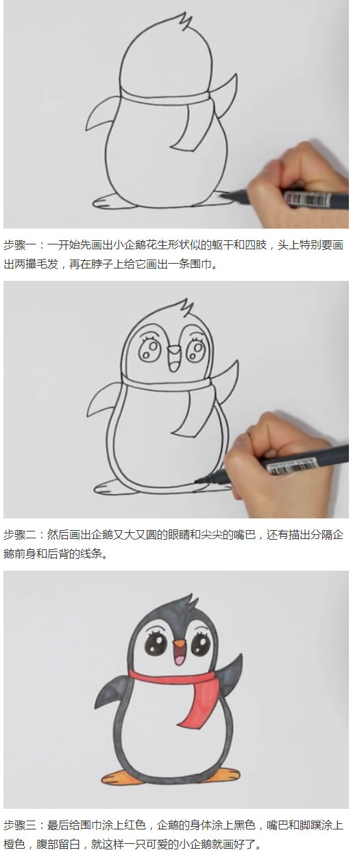 卡通小企鹅怎么画涂色简单又可爱