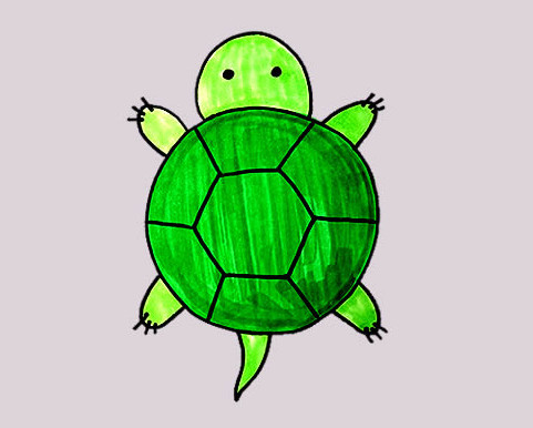 卡通小乌龟怎么画涂颜色带步骤图