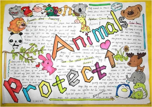 动物世界英语手抄报怎么画简单又漂亮
