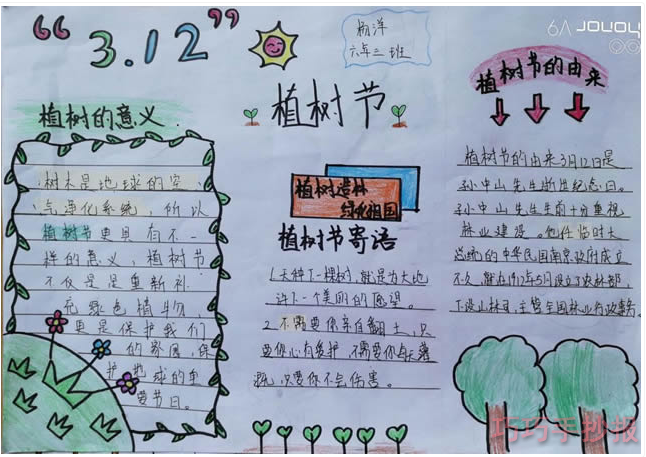 怎么画简单又漂亮3.12植树节手抄报初中生获奖设计图