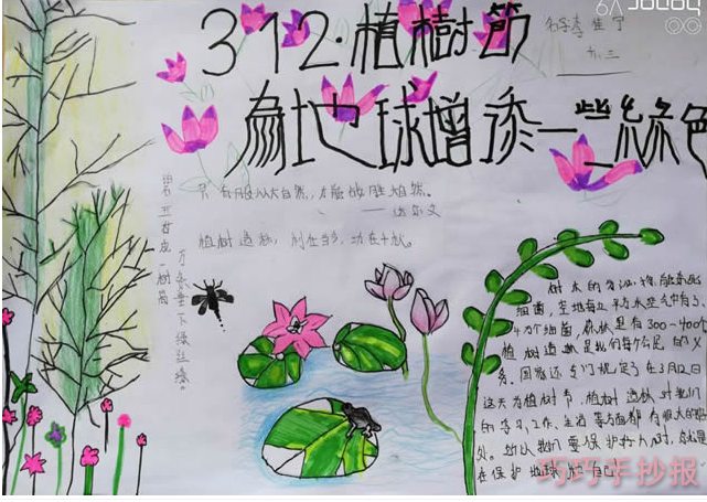 怎么画简单又漂亮3.12植树节手抄报初中生获奖设计图