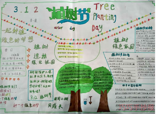 怎么画简单又漂亮植树节手抄报小学生获奖手抄报