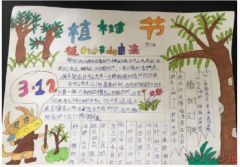 植树造林手抄报小学生获奖手抄报怎么画简单漂亮