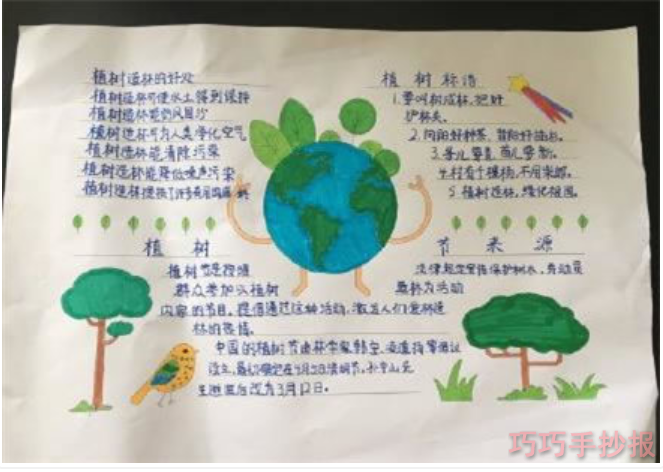 植树节小学生手抄报内容内容与图片初中生获奖设计图