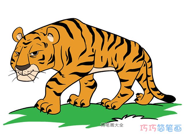 怎么画凶猛的老虎简笔画带步骤涂颜色