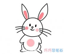 卡通小白兔的画法步骤涂颜色简单又可爱