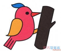 啄木鸟的画法步骤涂色 啄木鸟简笔画图片