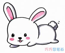 可爱小兔子怎么画带步骤 兔子简笔画图片