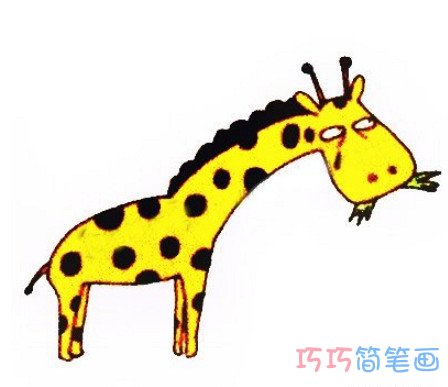 长颈鹿怎么画带步骤 长颈鹿简笔画图片