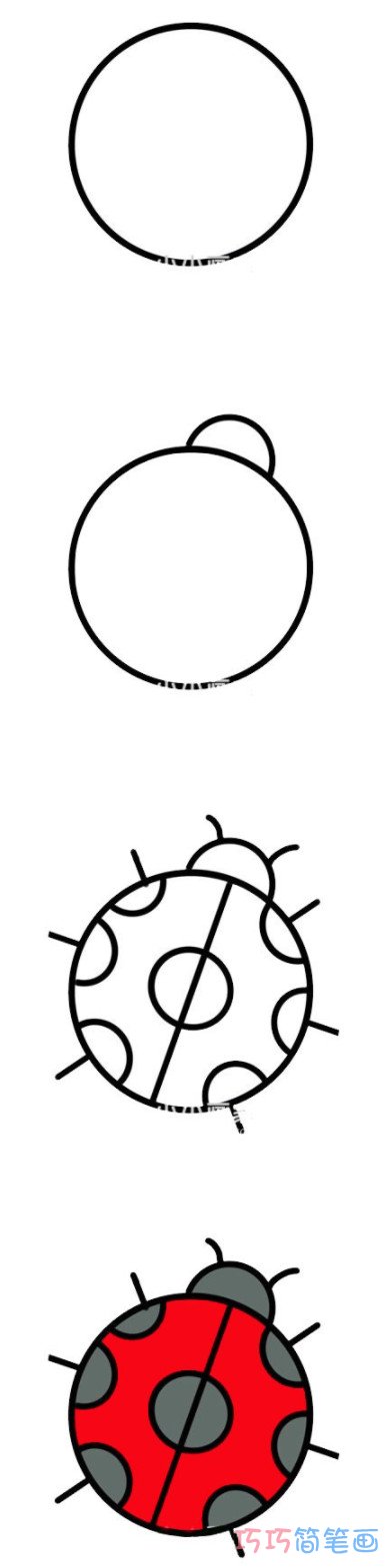七星瓢虫简笔画怎么画带步骤涂色